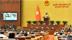 Xây dựng dự án Luật Lực lượng tham gia bảo vệ an ninh, trật tự ở cơ sở bảo đảm sát thực tiễn